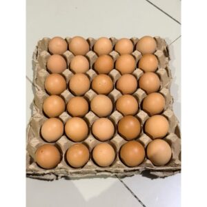 Telur Ayam Segar